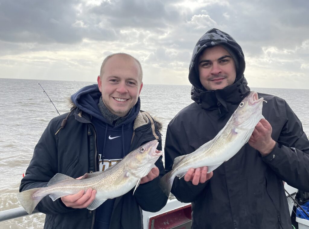 Two men holding a cod fish each