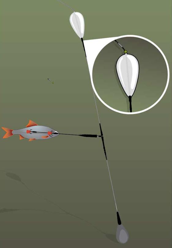 Fox Rage how to fish with a sumken paternoster